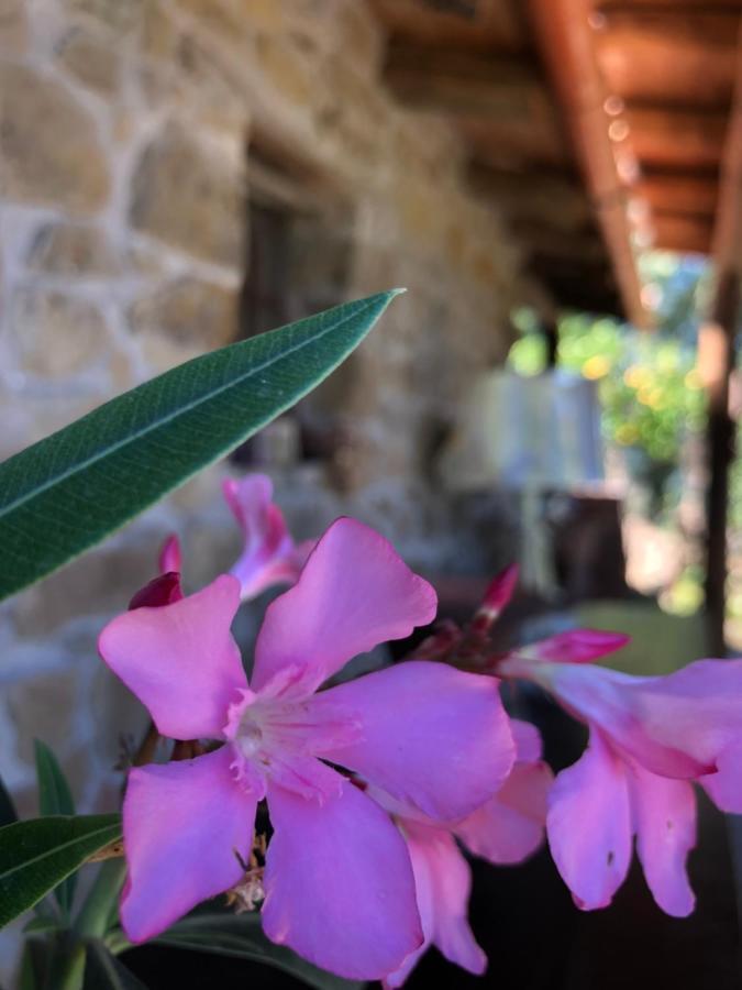 Bed and Breakfast San Noto Antica Residenza Di Caccia Ficarra Exteriér fotografie